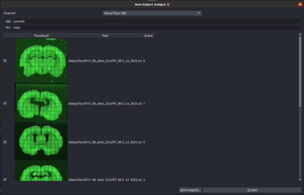 Create subject dialog